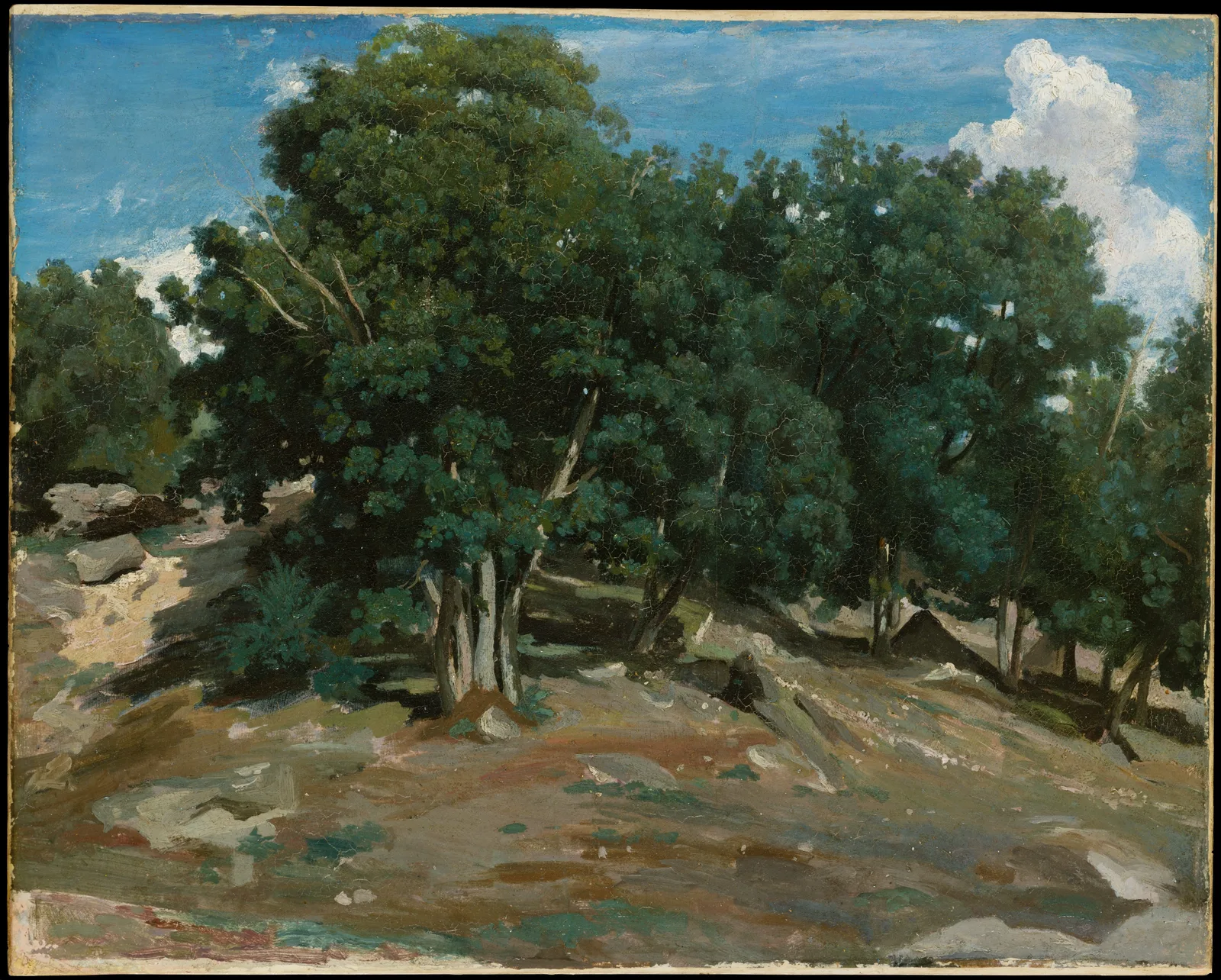 Camille Corot, Fontainebleau: Oak Trees at Bas-Bréau: a dark green stand of oaks crosses the picture, its lumpy crown outlined against a blue sky with a white cloud at upper right. Below, stones and ochre earth form a slope.