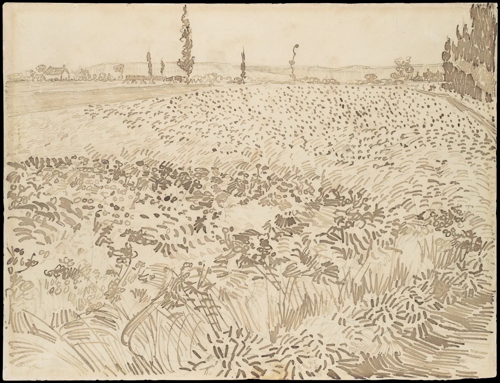 Vincent van Gogh, Wheat Field, a drawing: a wide wheat field in brown ink. The front is filled with long curving strokes, loops and tufts, the middle with short hooks and small circles, and the field behind with dots that grow smaller towards the top. On the horizon are hills drawn in fine horizontal lines, a house and a few thin, tall trees, with a dark mass of trees at upper right. The sky is bare paper.