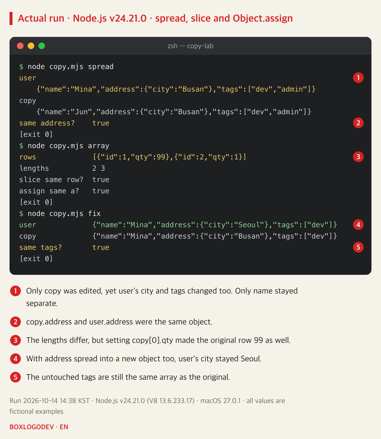 Node.js v24.21.0 output. copy.mjs spread: user now has city Busan and tags dev, admin; copy differs only in name Jun; same address? true. array: the first row of rows has qty 99, lengths 2 and 3, slice same row? true, assign same a? true. fix: user's city is Seoul, copy's city is Busan, same tags? true.